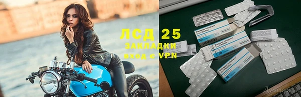 гидра Белая Холуница