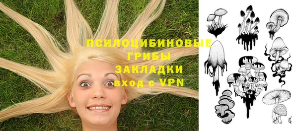 MDMA Premium VHQ Бежецк